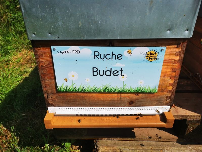 La ruche Budet
