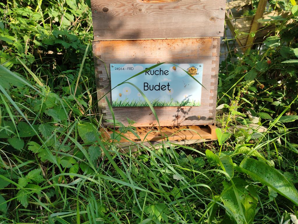 La ruche Budet