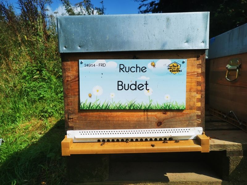 La ruche Budet