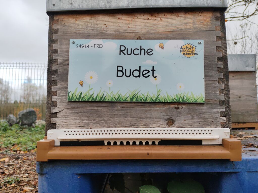 La ruche Budet