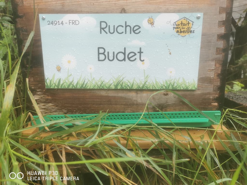 La ruche Budet