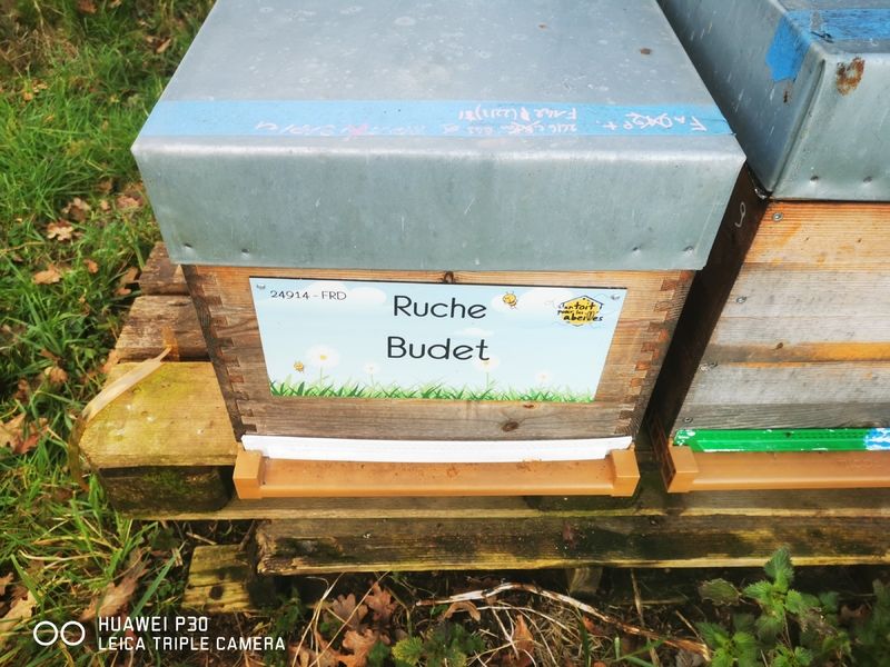 La ruche Budet