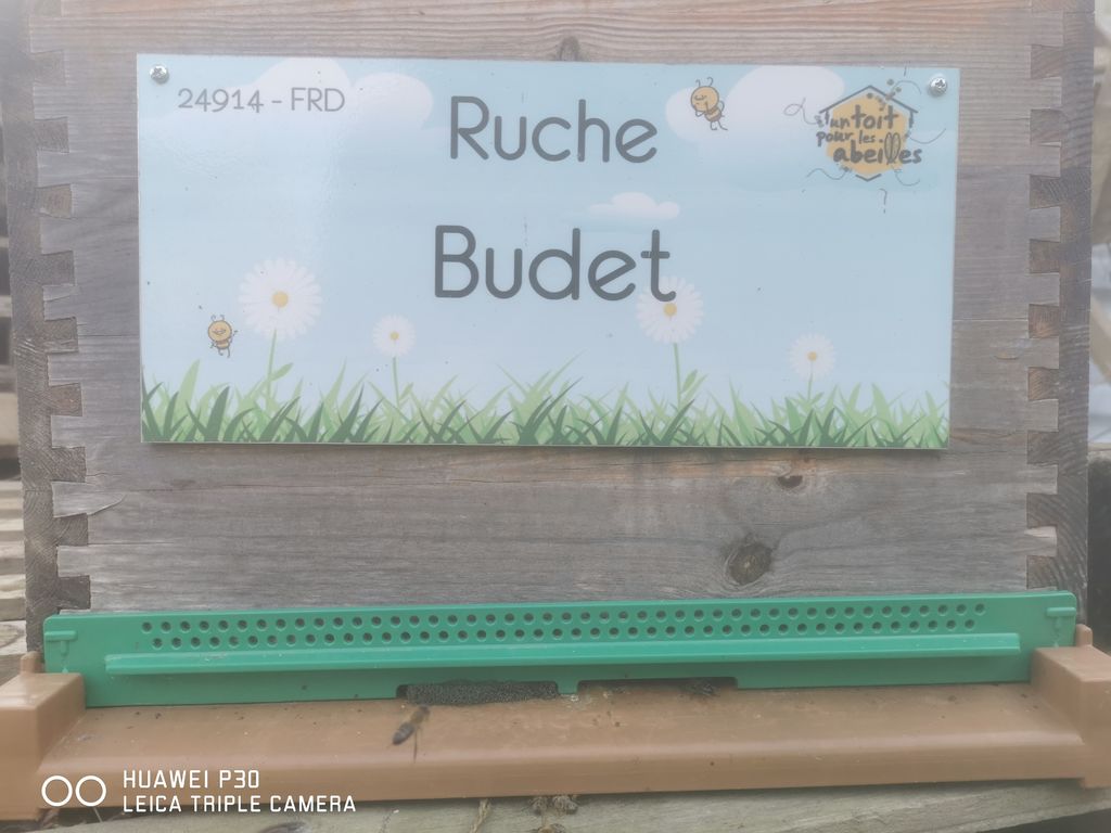 La ruche Budet