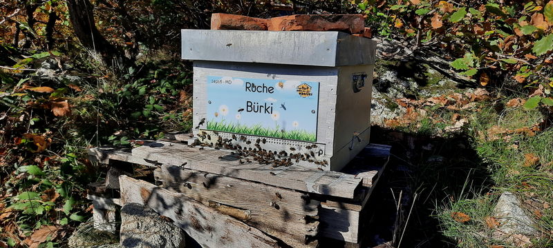 La ruche