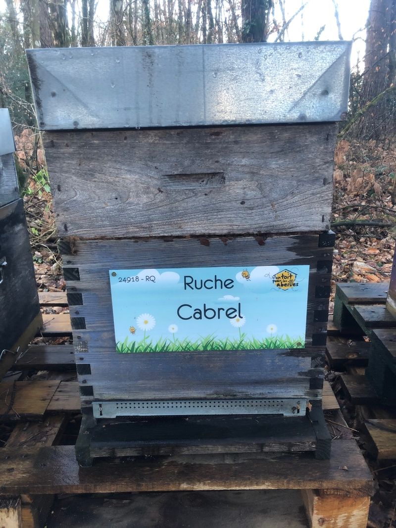 La ruche