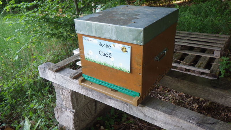 La ruche Cadé