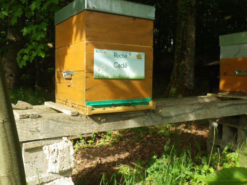 La ruche Cadé