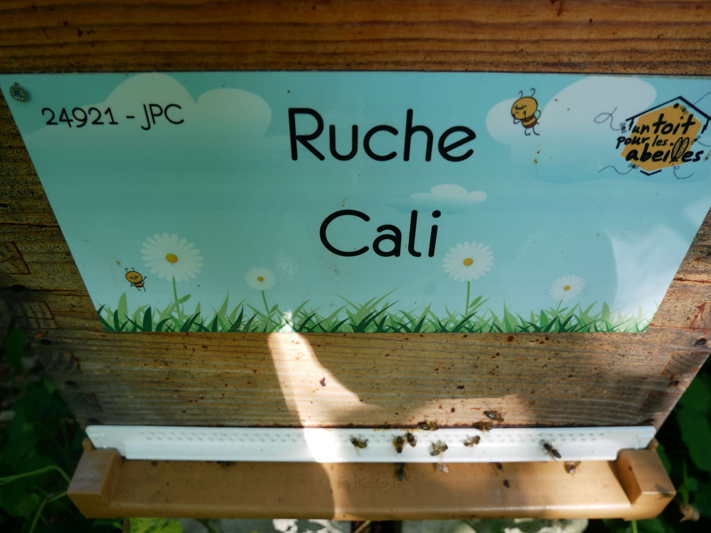 La ruche Cali