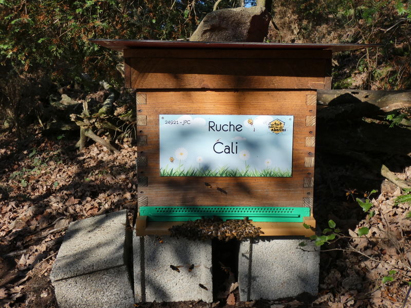 La ruche Cali