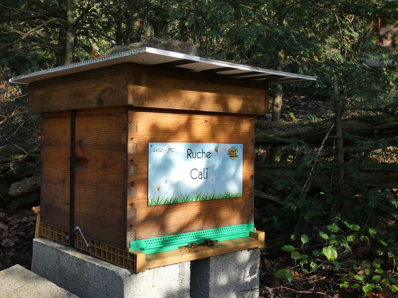 La ruche Cali