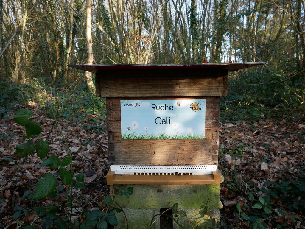 La ruche Cali