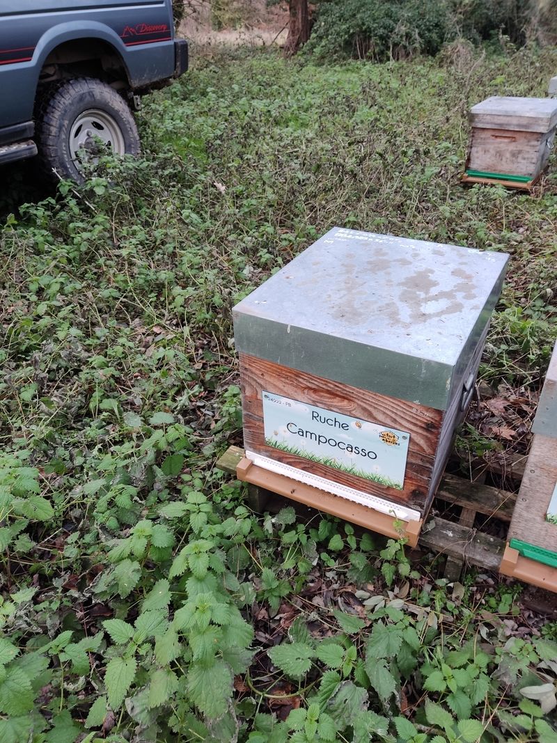La ruche Campocasso