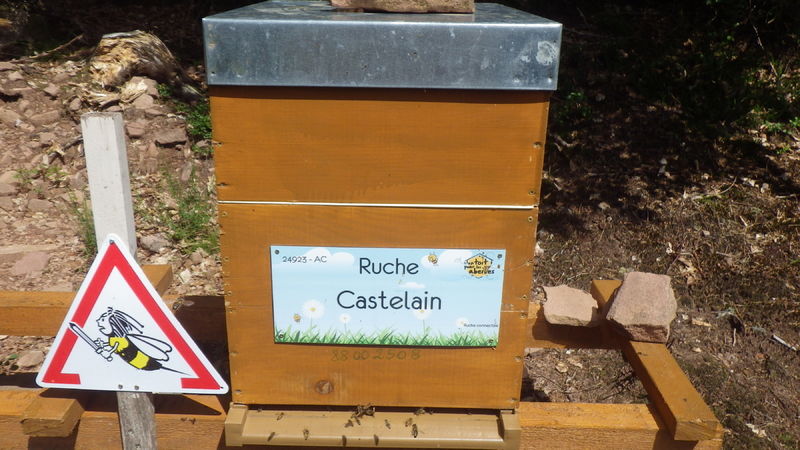 La ruche Castelain