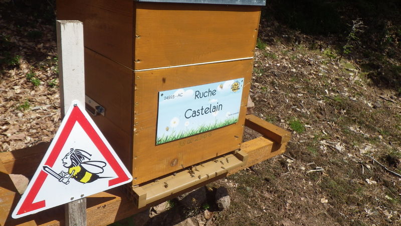 La ruche Castelain