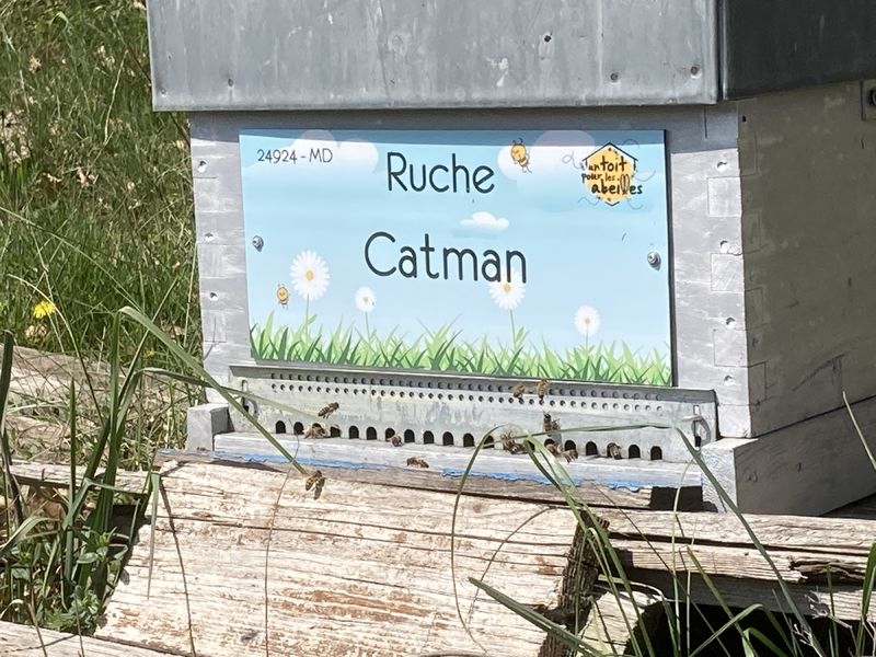 La ruche
