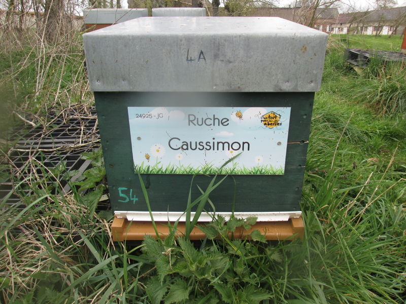 La ruche Caussimon