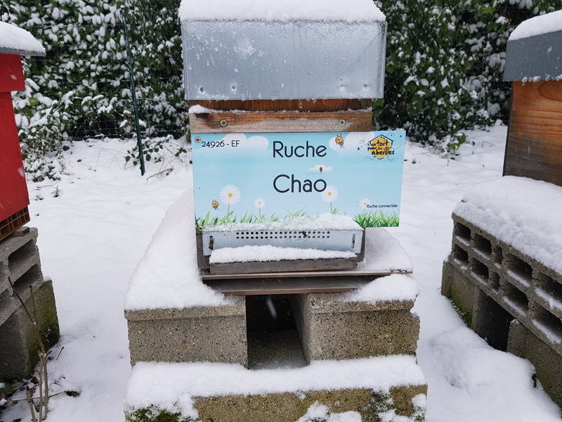 La ruche
