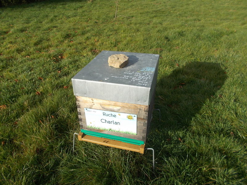 La ruche Charlan