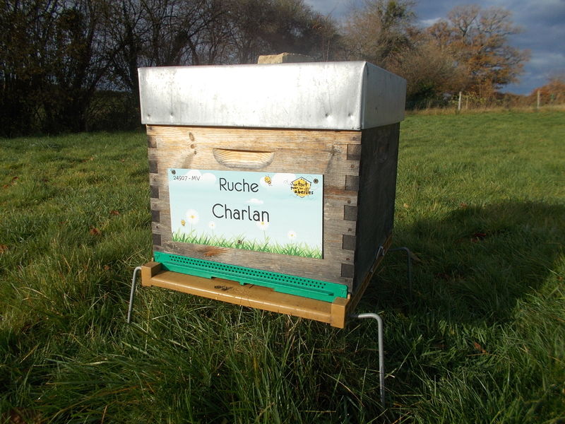 La ruche Charlan