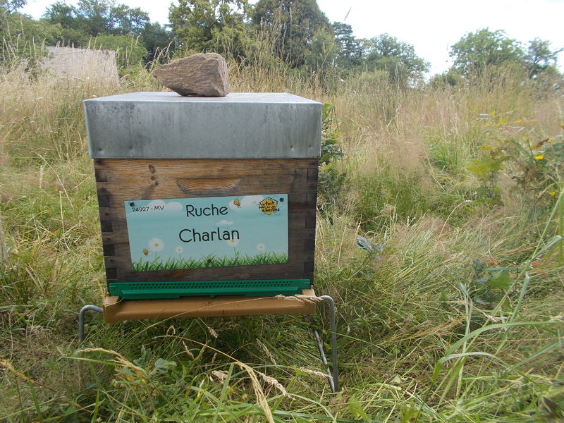 La ruche Charlan
