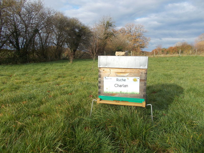 La ruche Charlan