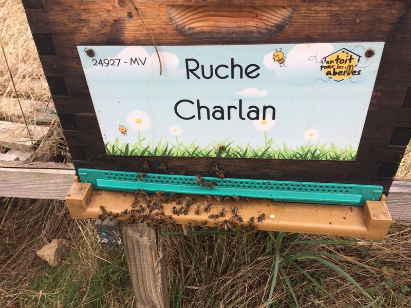 La ruche Charlan