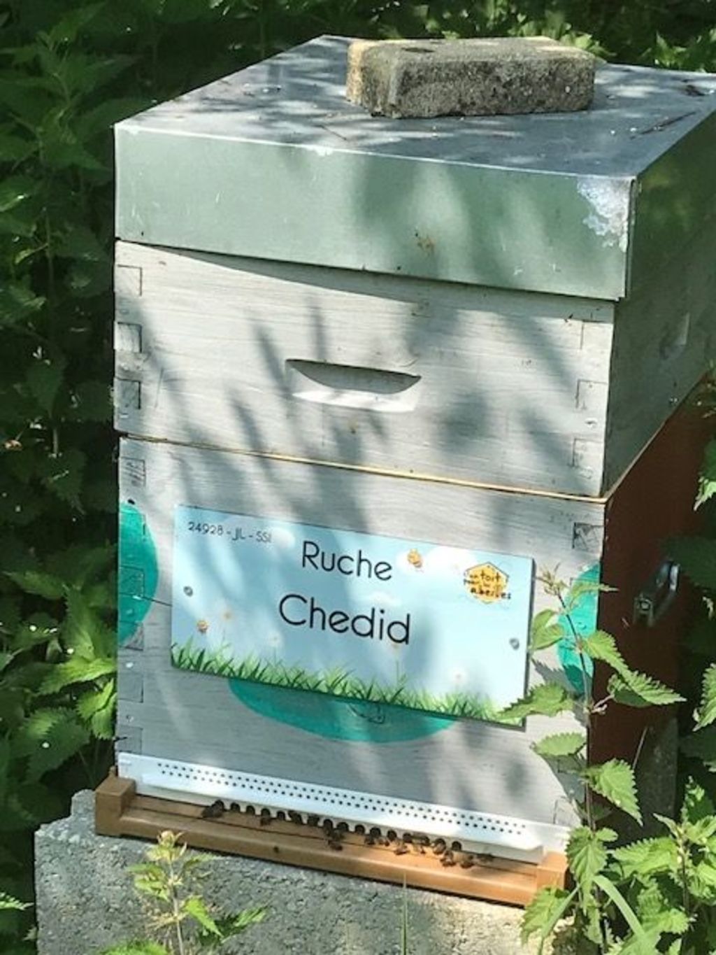 La ruche Chedid