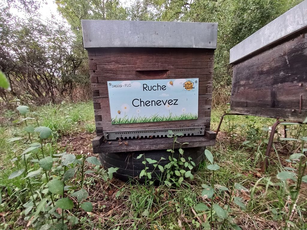 La ruche Chenevez