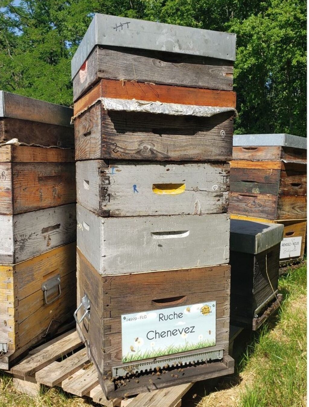 La ruche Chenevez