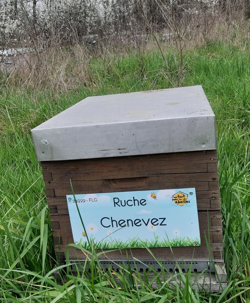 La ruche Chenevez