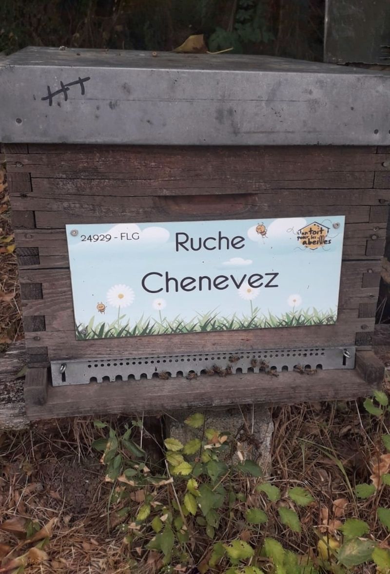 La ruche Chenevez