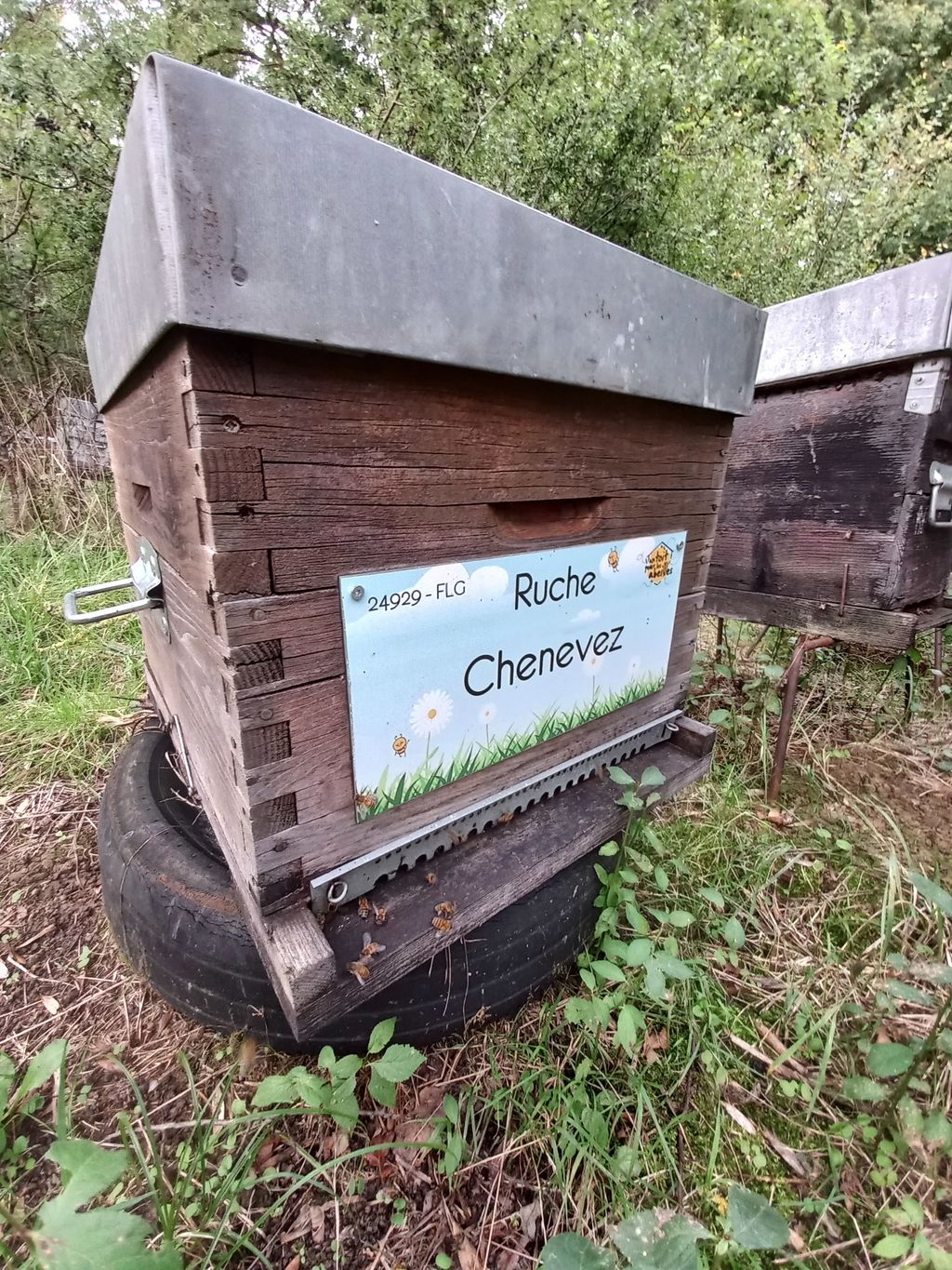 La ruche Chenevez