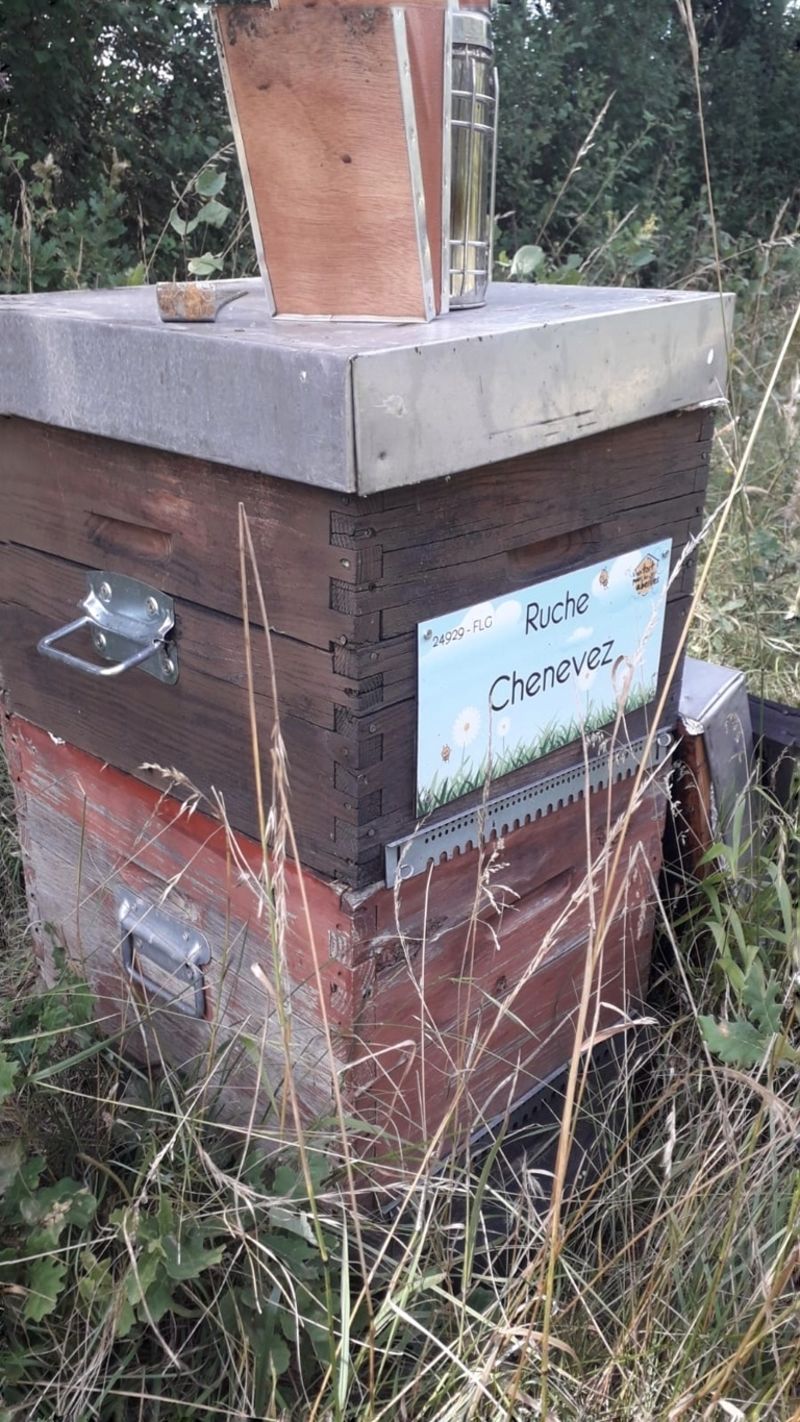La ruche Chenevez