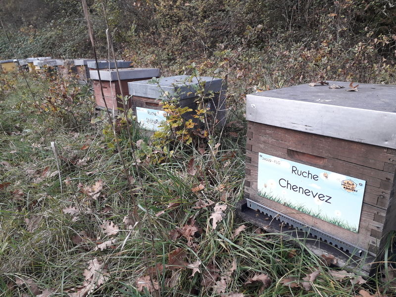 La ruche Chenevez