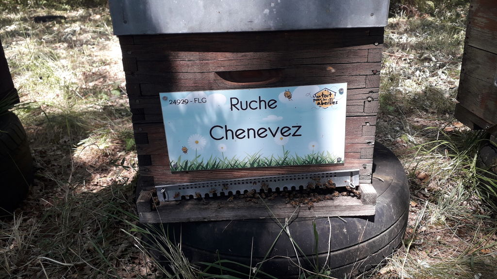 La ruche Chenevez