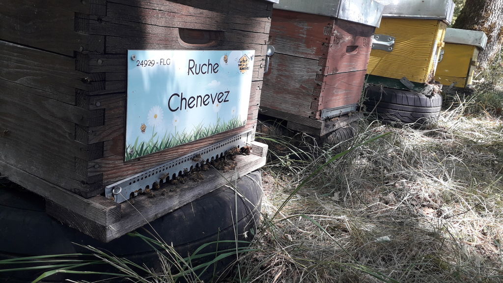 La ruche Chenevez