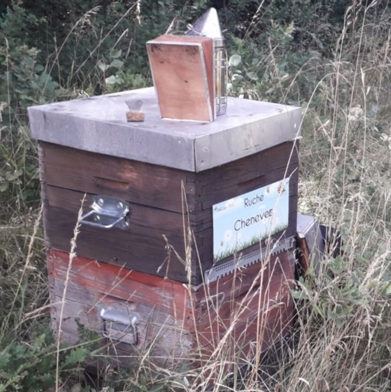 La ruche Chenevez