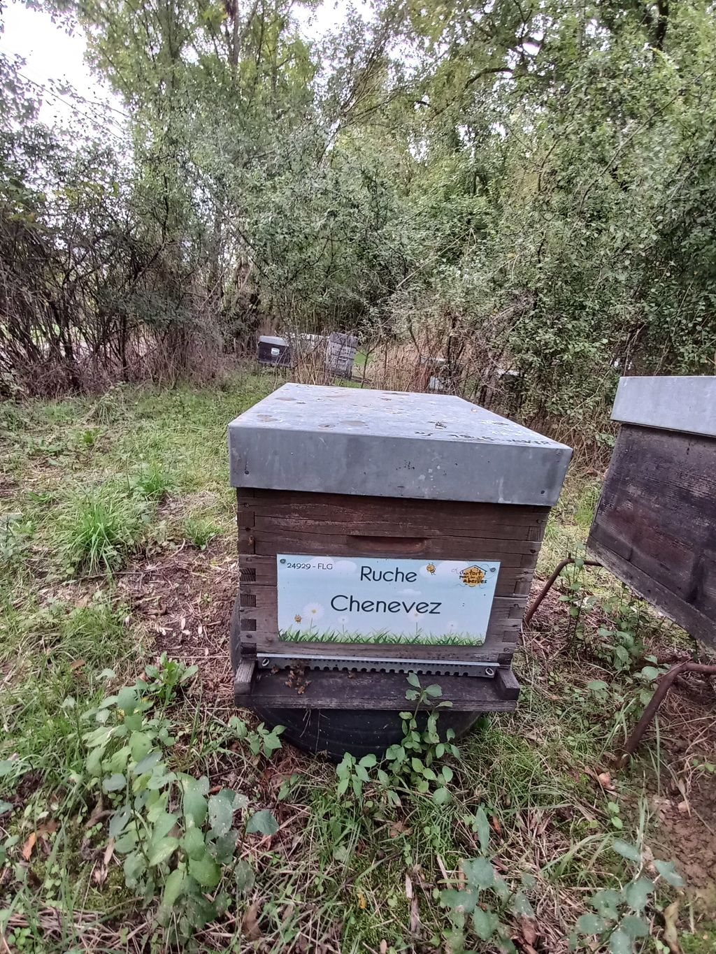 La ruche Chenevez