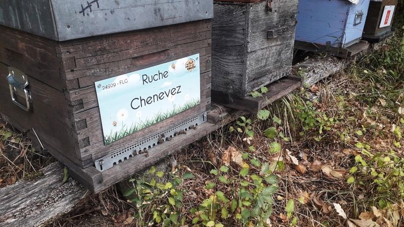 La ruche Chenevez