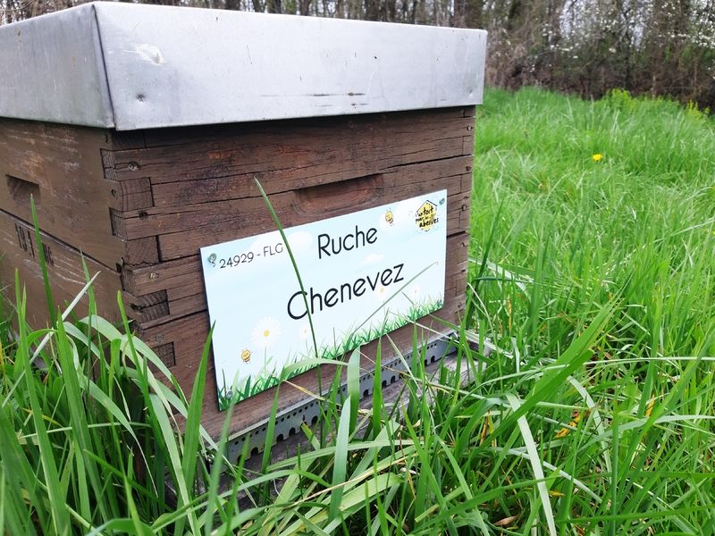 La ruche Chenevez