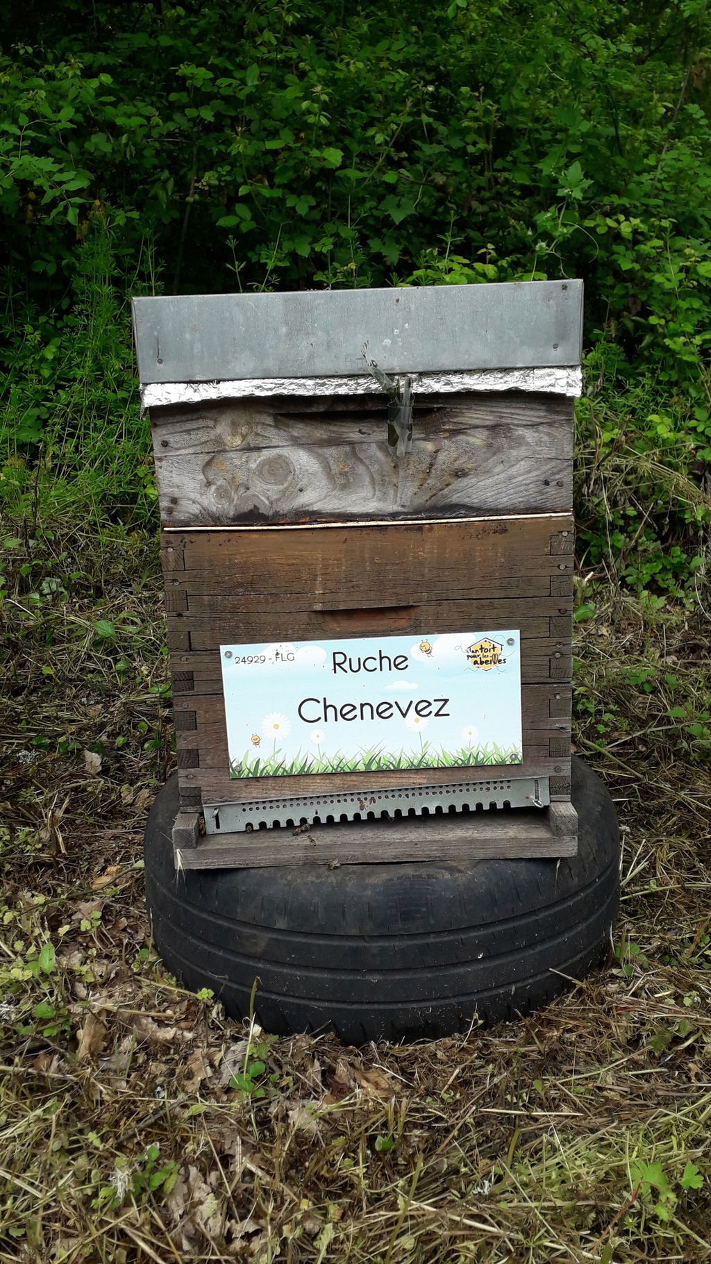 La ruche Chenevez
