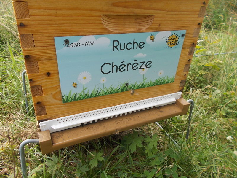 La ruche Chérèze