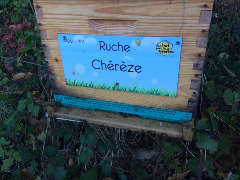 La ruche Chérèze