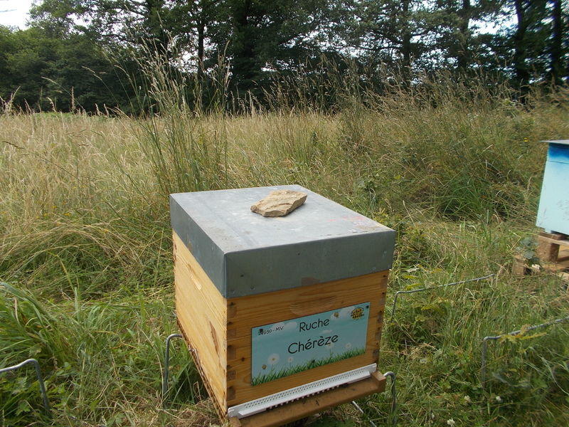 La ruche Chérèze