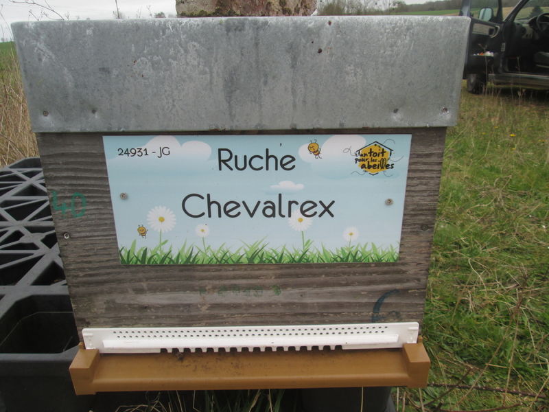 La ruche Chevalrex