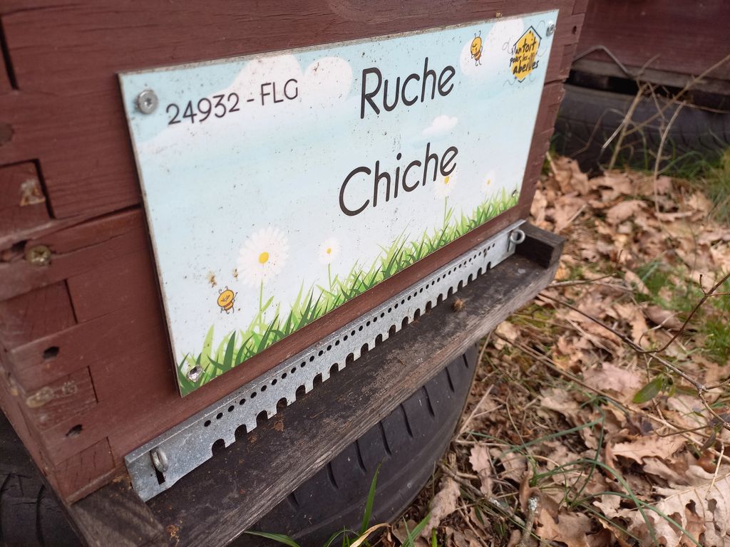 La ruche Chiche
