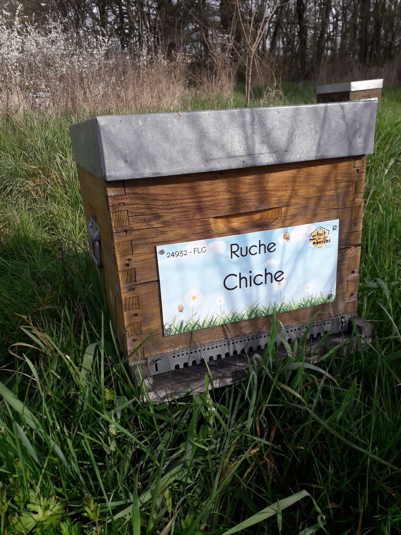 La ruche Chiche