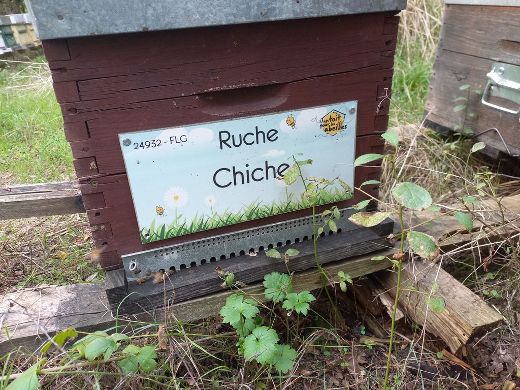 La ruche Chiche