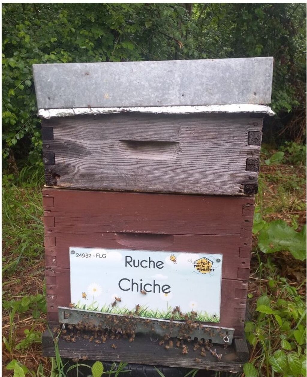 La ruche Chiche