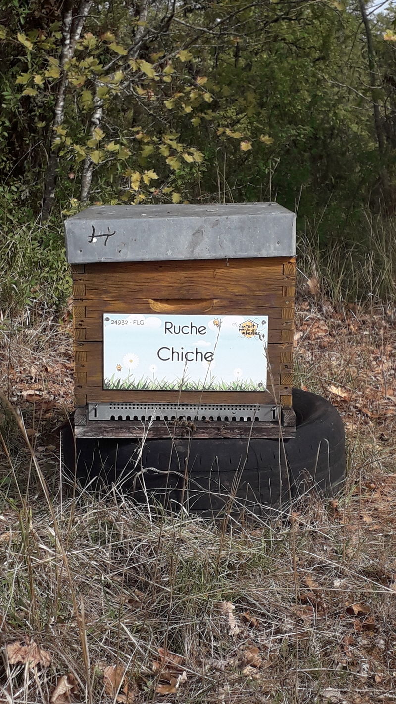 La ruche Chiche